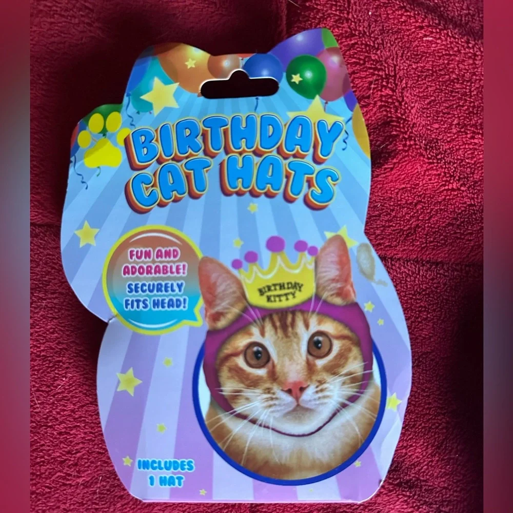 Bundle 4 Pack Fun Kitty Hats All Occasions NEW
